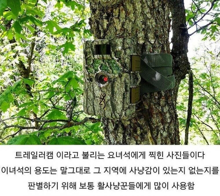 이 유명한 사진의 유래를 알아보자