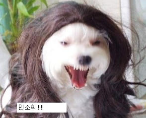 개표정으로본 회사