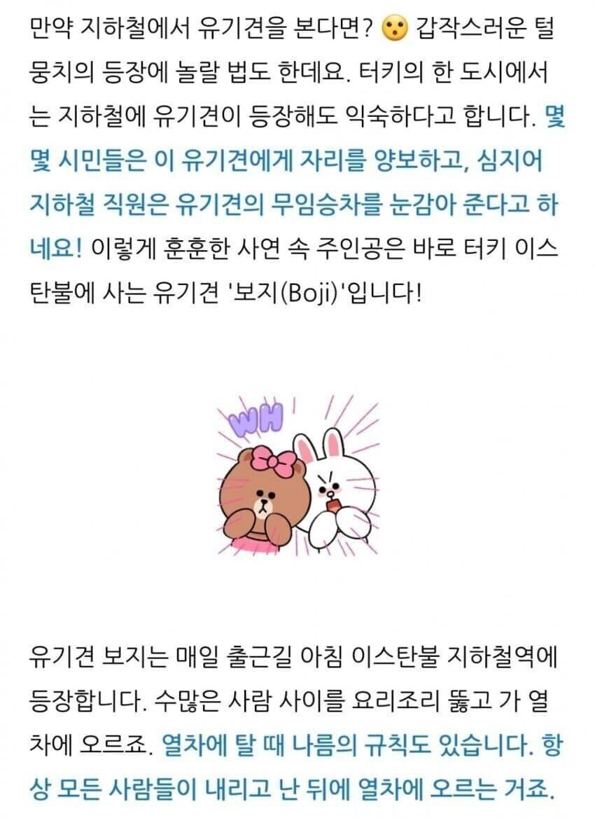 싱글벙글 보지의 여행...jpg