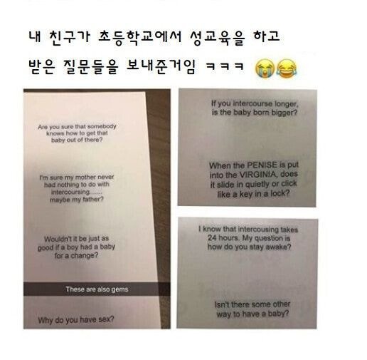 초등학교의 성교육