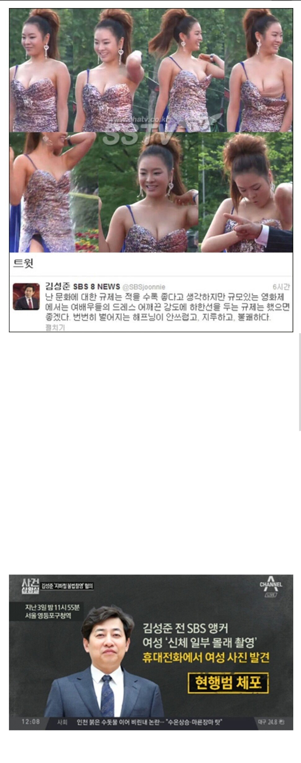 ㅇㅎ) 여배우들 드레스 규제했으면 좋겠다