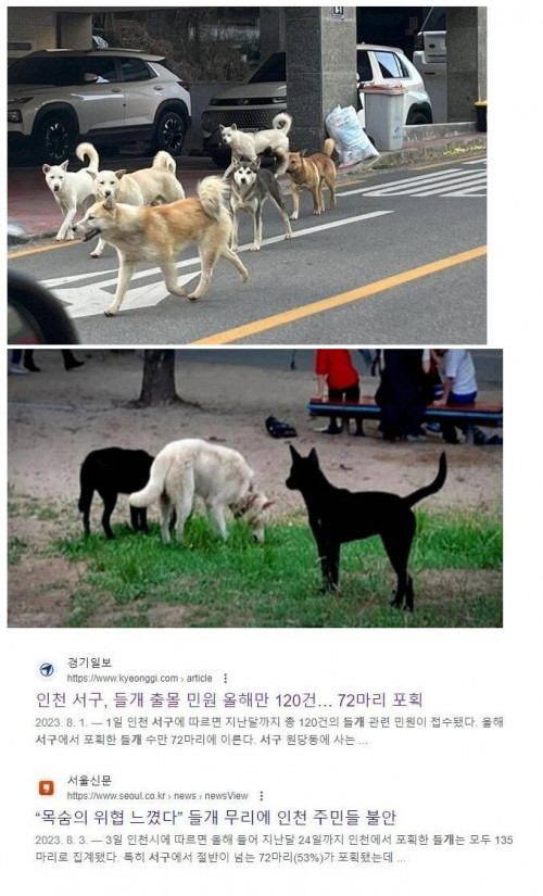 동물이 살기 좋은 도시 인천