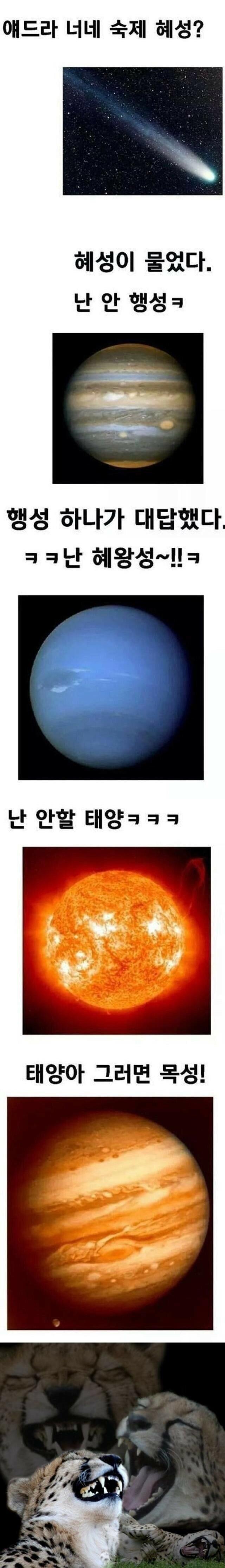 유머