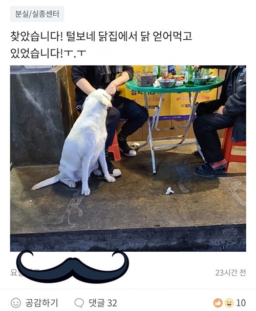 분실 댕댕이