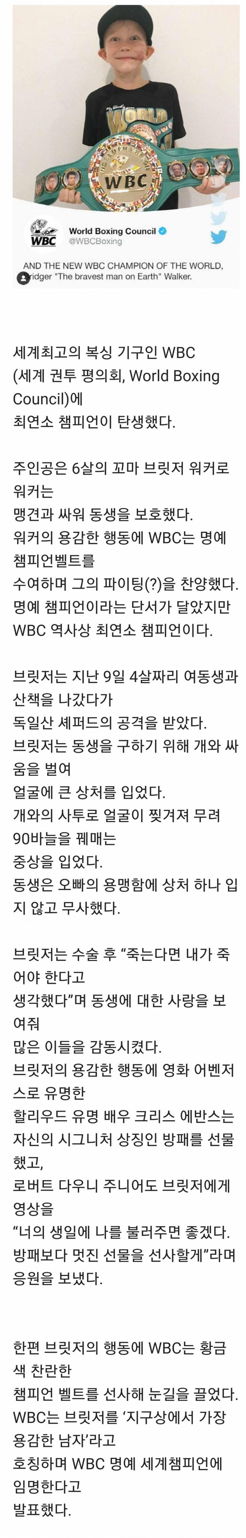 맹견 공격에 여동생 구한 6세 소년 근황