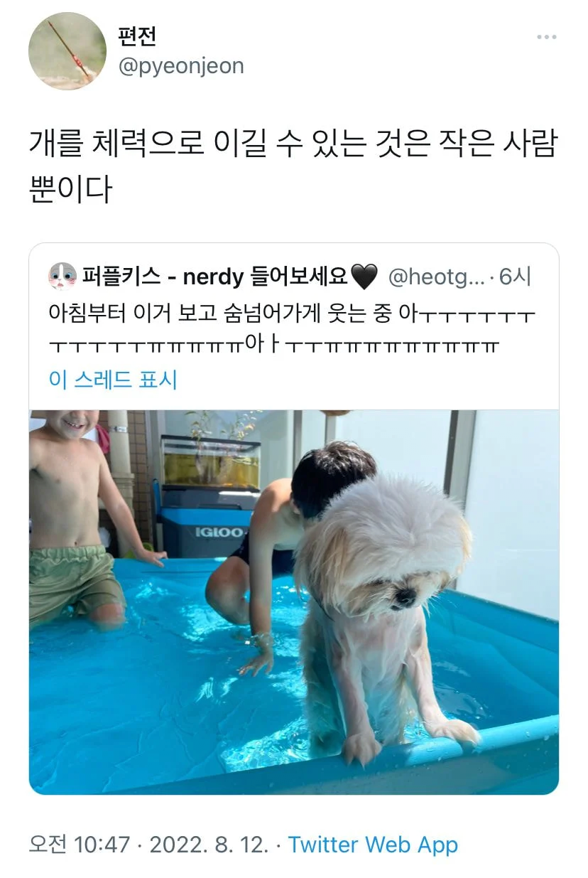 개를 체력으로 이길 수 있는 것은 작은 사람뿐이다