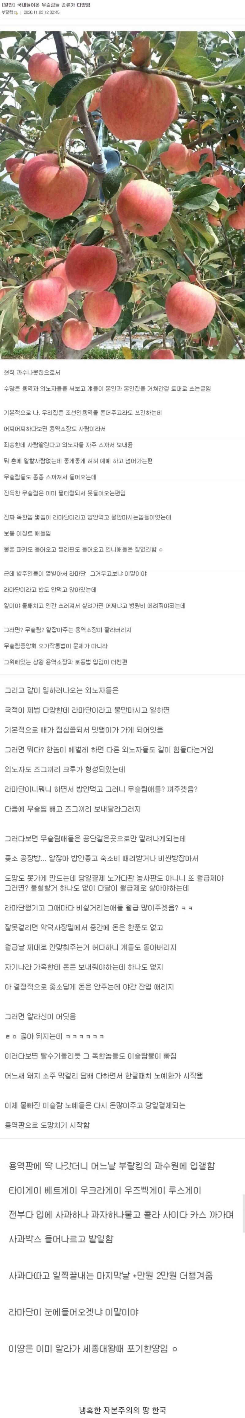 싱글벙글 한국식 무슬림 동화정책