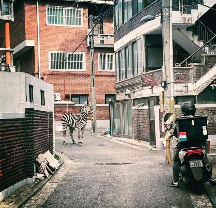 숨막히는 정면승부.