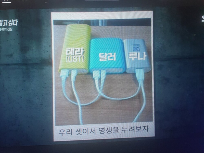 그것이 알고싶다 루나코인 한짤 요약