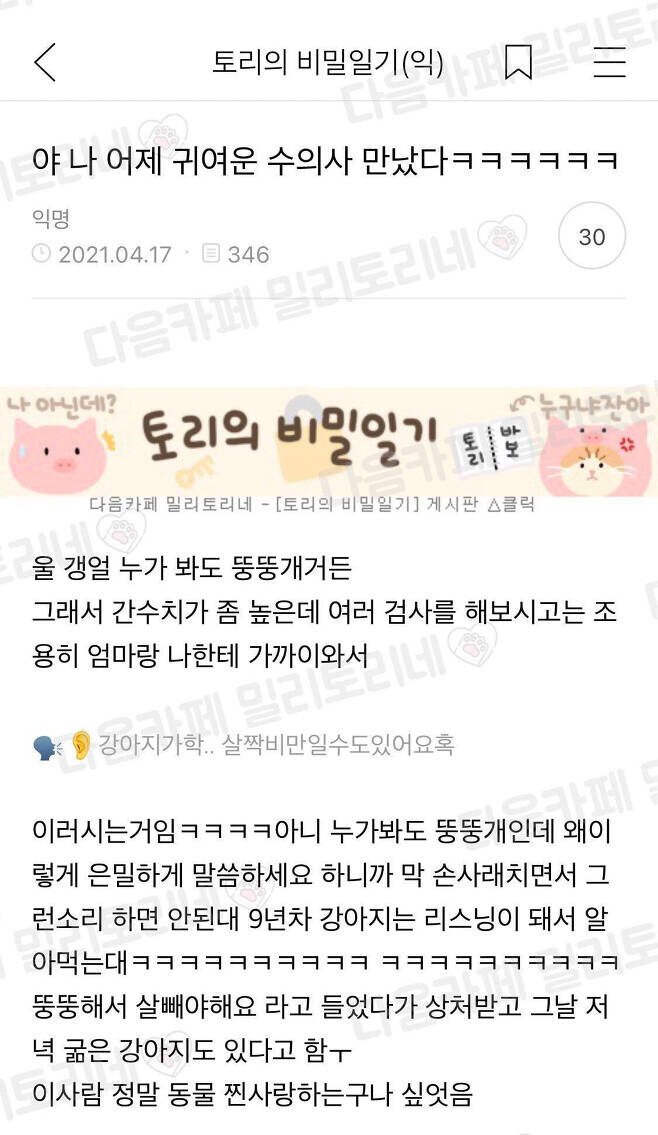 수의사 센세가 커여움