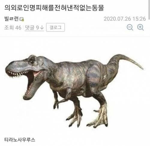 영화의 묘사와 달리 인명피해를 전혀 낸 적 없는 동물