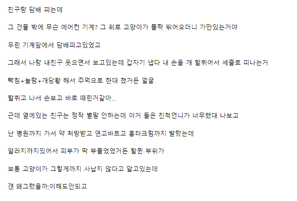 길고양이 한대 때렸는데 내가 잘못한거냐.jpg