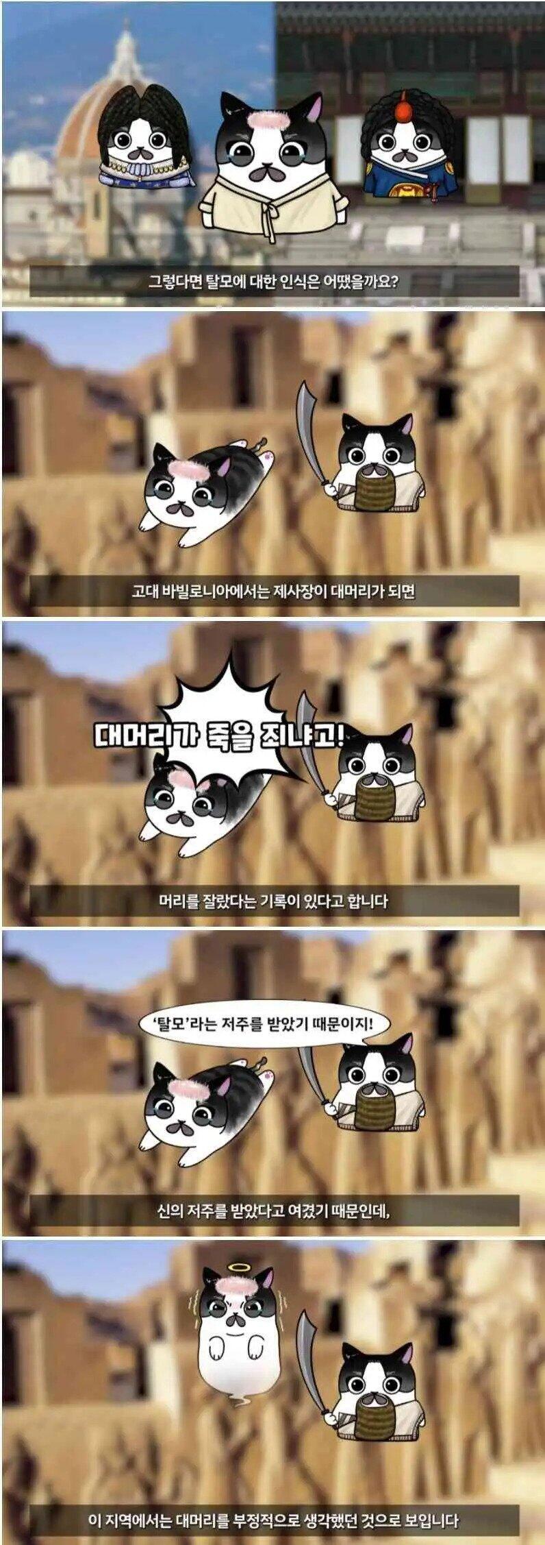 탈모인들!! 감사할 일이 생겼어!!