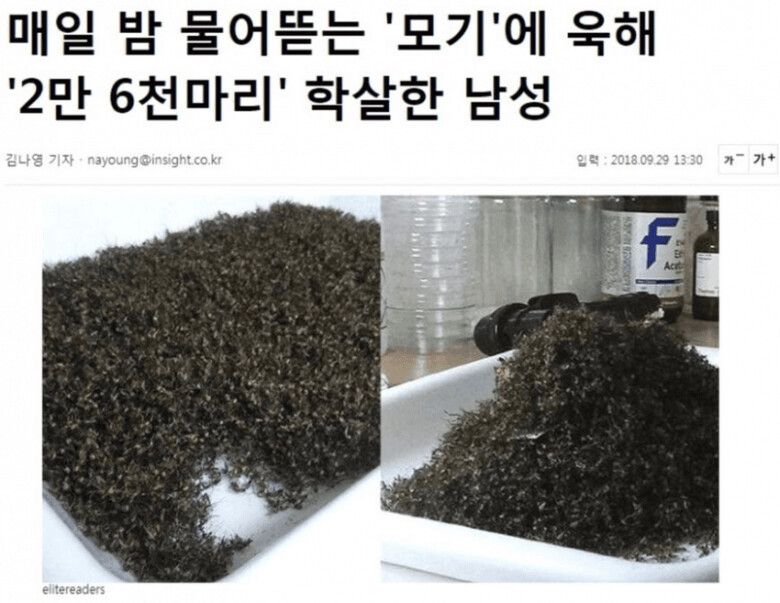 호불호 없는 착한 학살