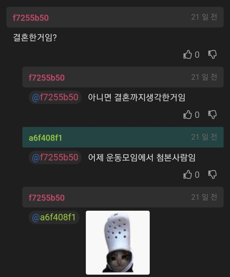 계란때문에 욕먹어서 이혼 생각중