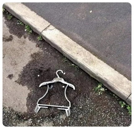 RIP 펭귄