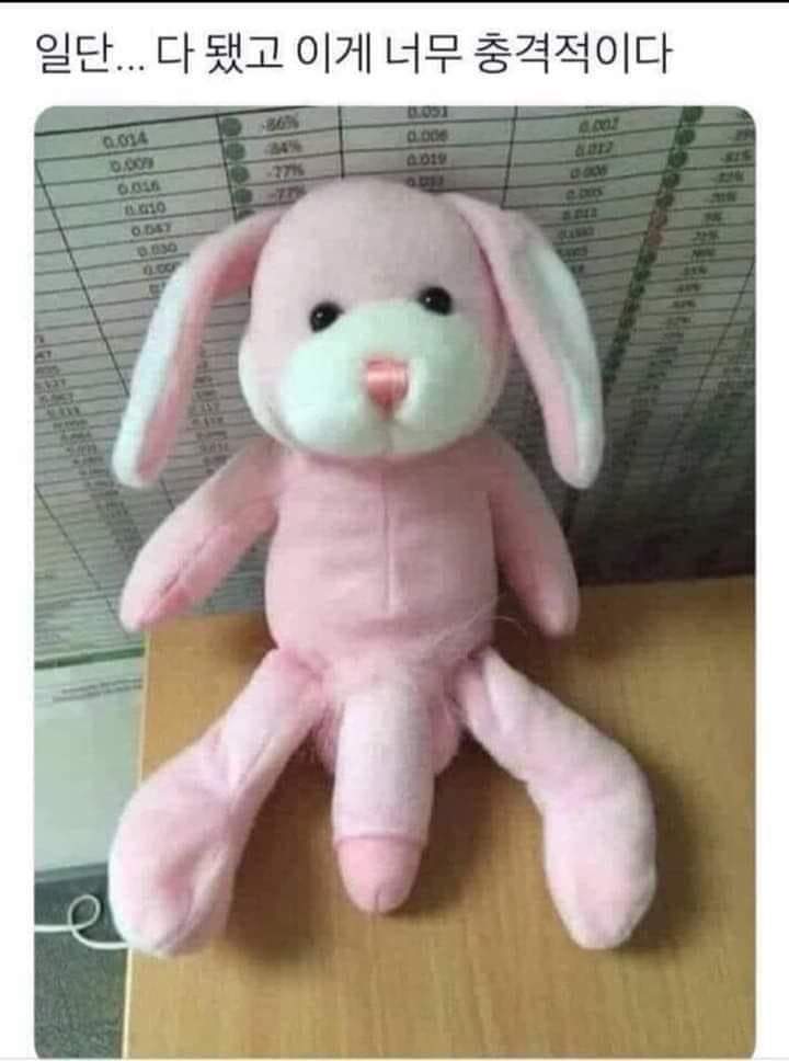 핑자크지