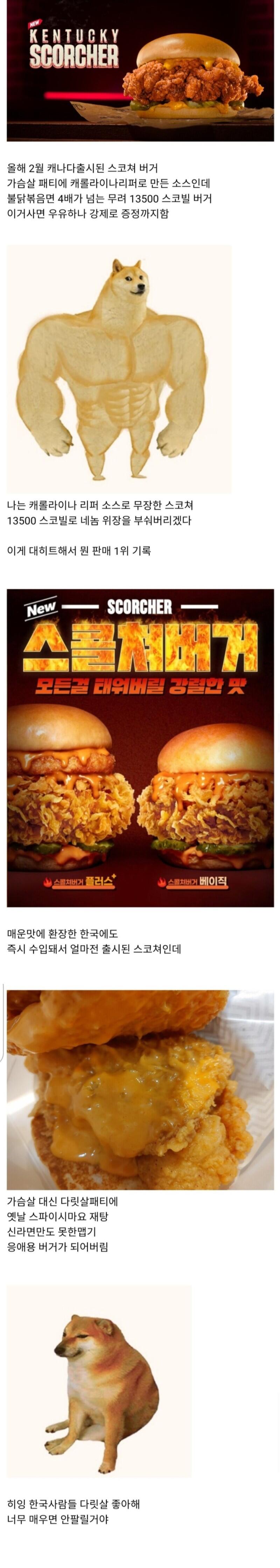한국에서 최약체가 되어버린 스코쳐 버거