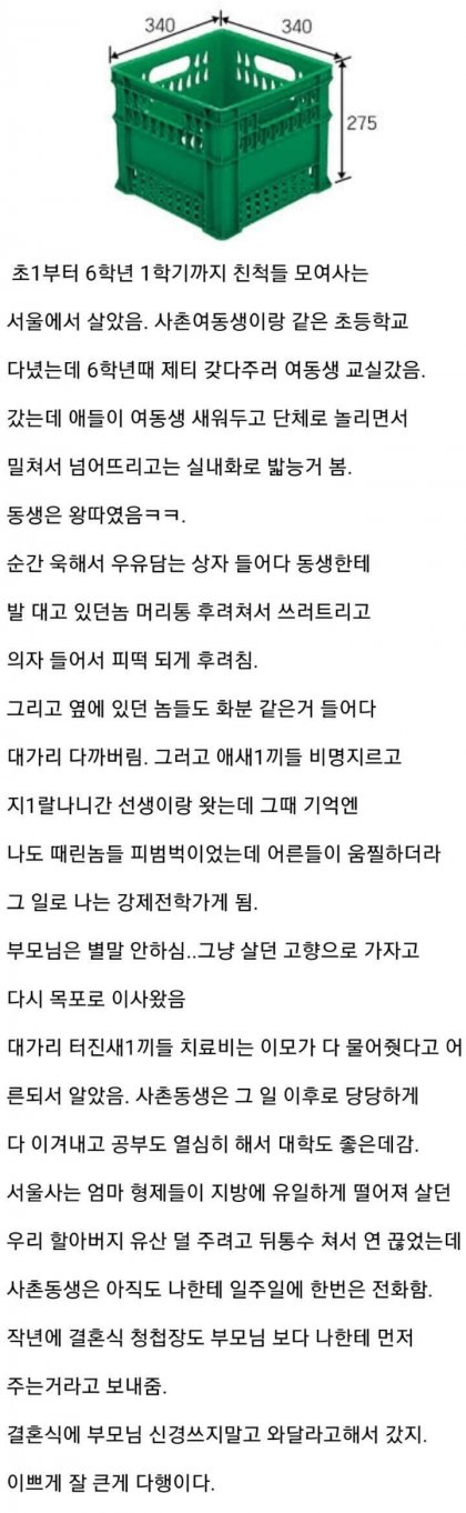 학교에서 왕따당하는 사촌동생을 본 사촌오빠