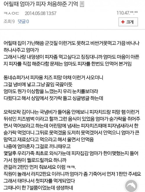 어느 디시인의 어릴 때 엄마가 피자 처음 해준 기억