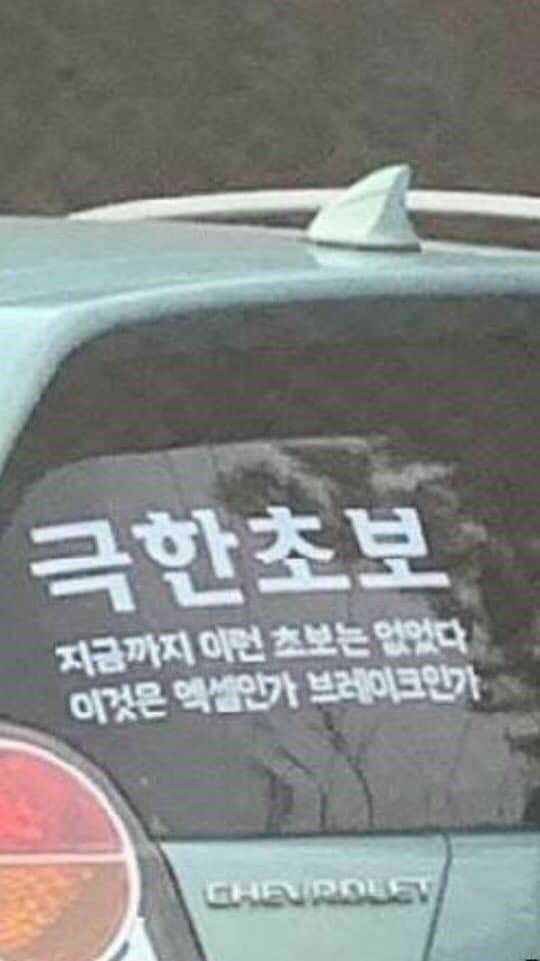 극한초보