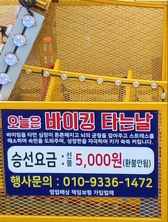 바이킹의 효능