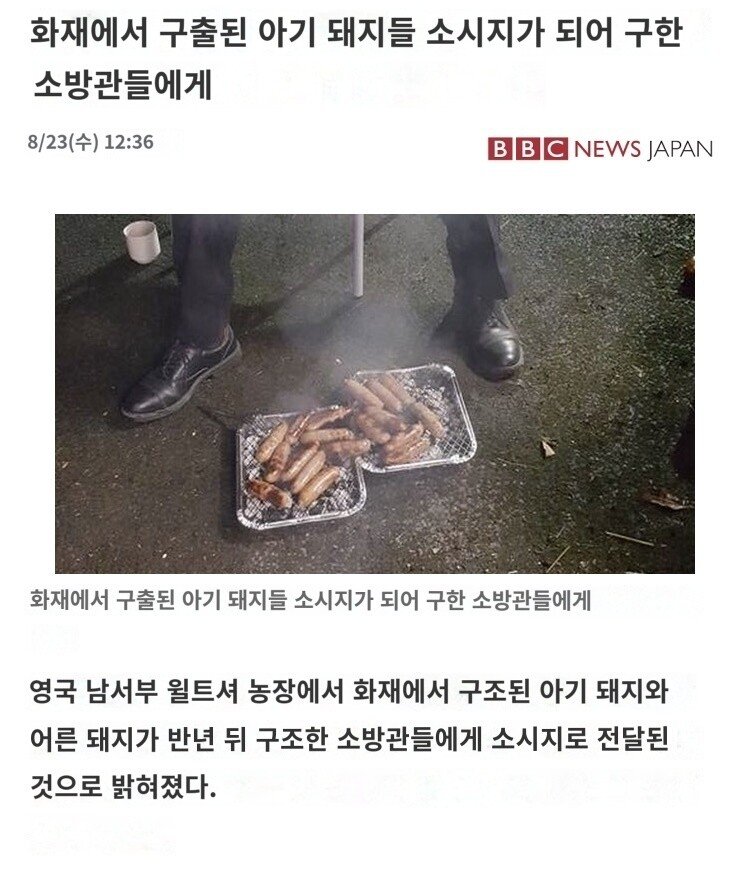 구해주신 은혜..몸으로 갚겠습니다...jpg