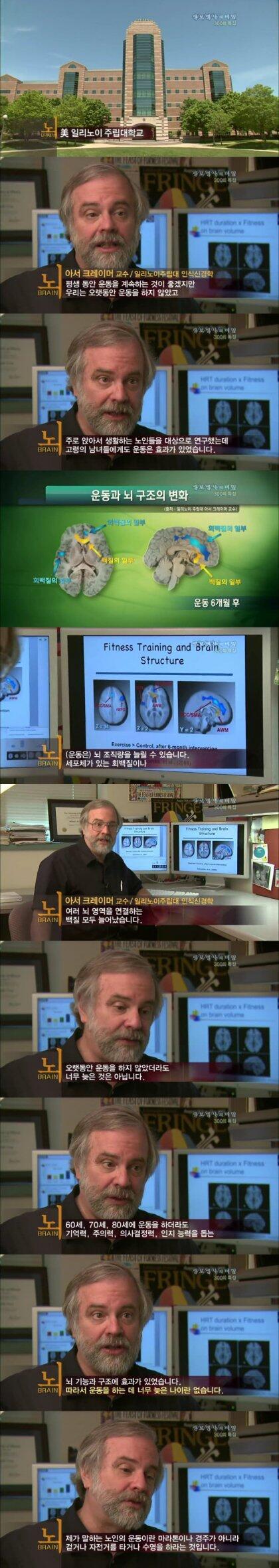 운동이 뇌에 미치는 영향