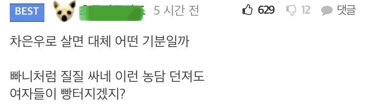 정신나간 펨붕이.JPG