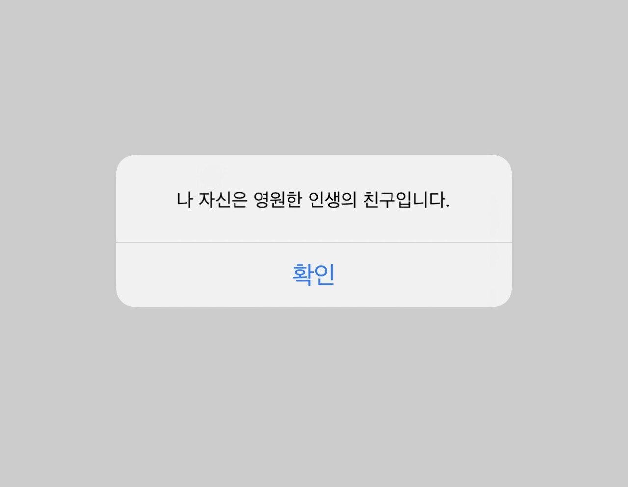 카톡에 내 번호를 친구 추가한다면?