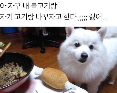 물물교환을 요구하는 멍뭉이