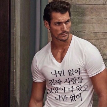 평범한 고양이 소환술