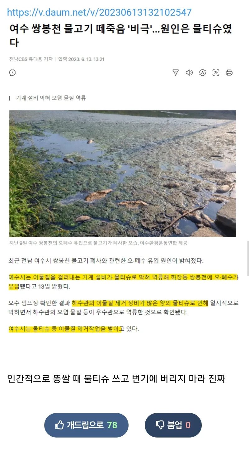 여수 물고기 떼죽음 비극의 원인은 물티슈 ㅠㅠ