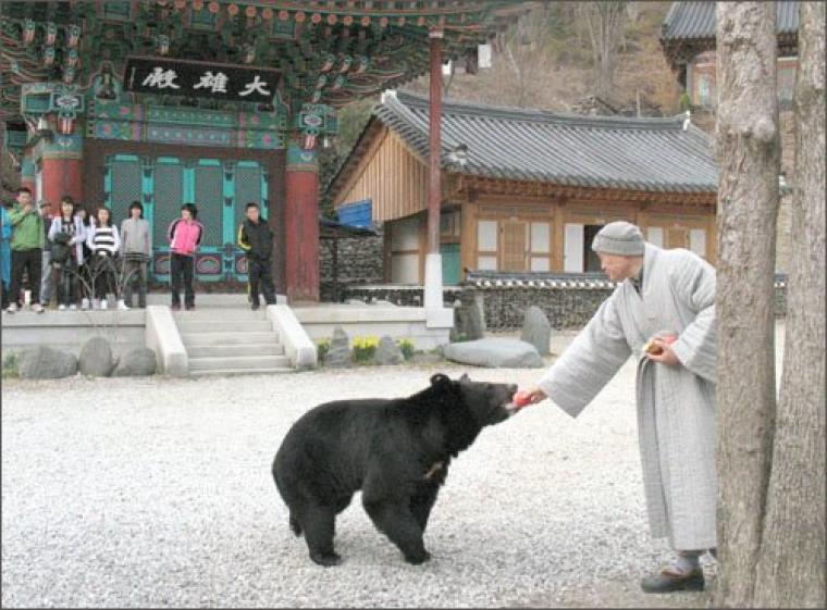 지리산에 방생했던 반달곰 친구 jpg