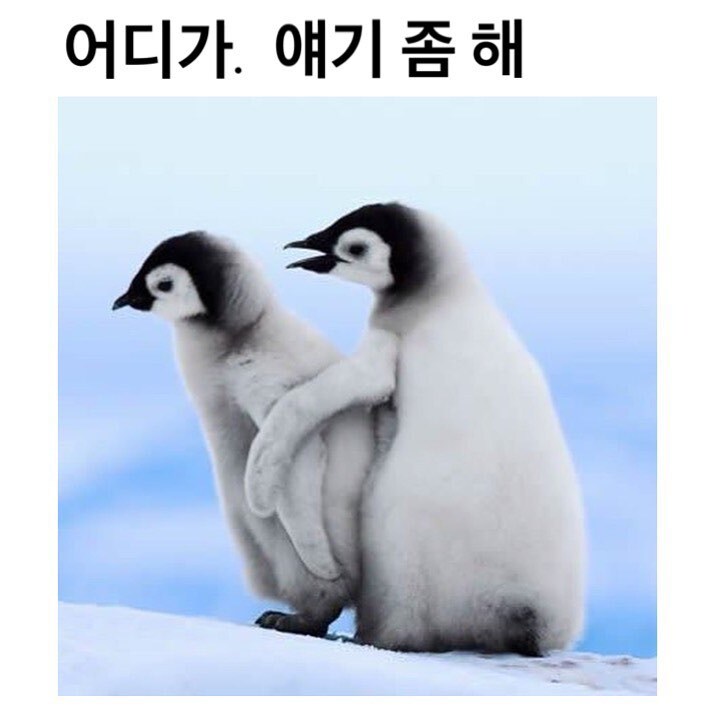 커플끼리 싸울때 모습