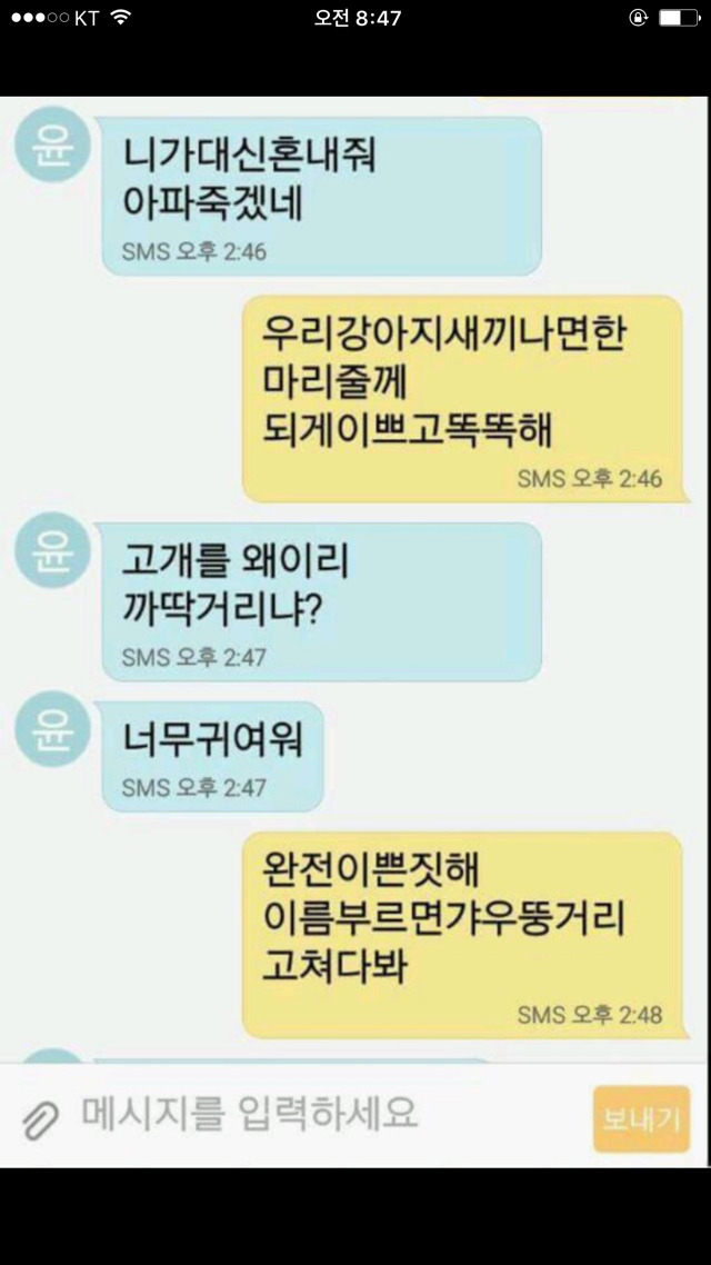 강아지 사진보내 제발