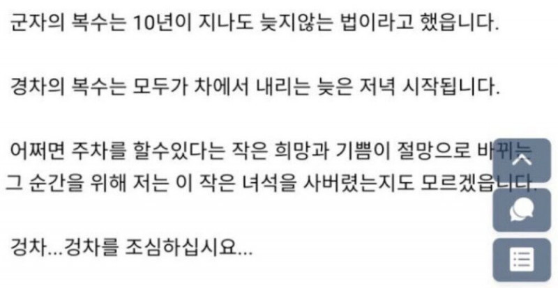 주차하고 뿌듯해하는 경차 주인