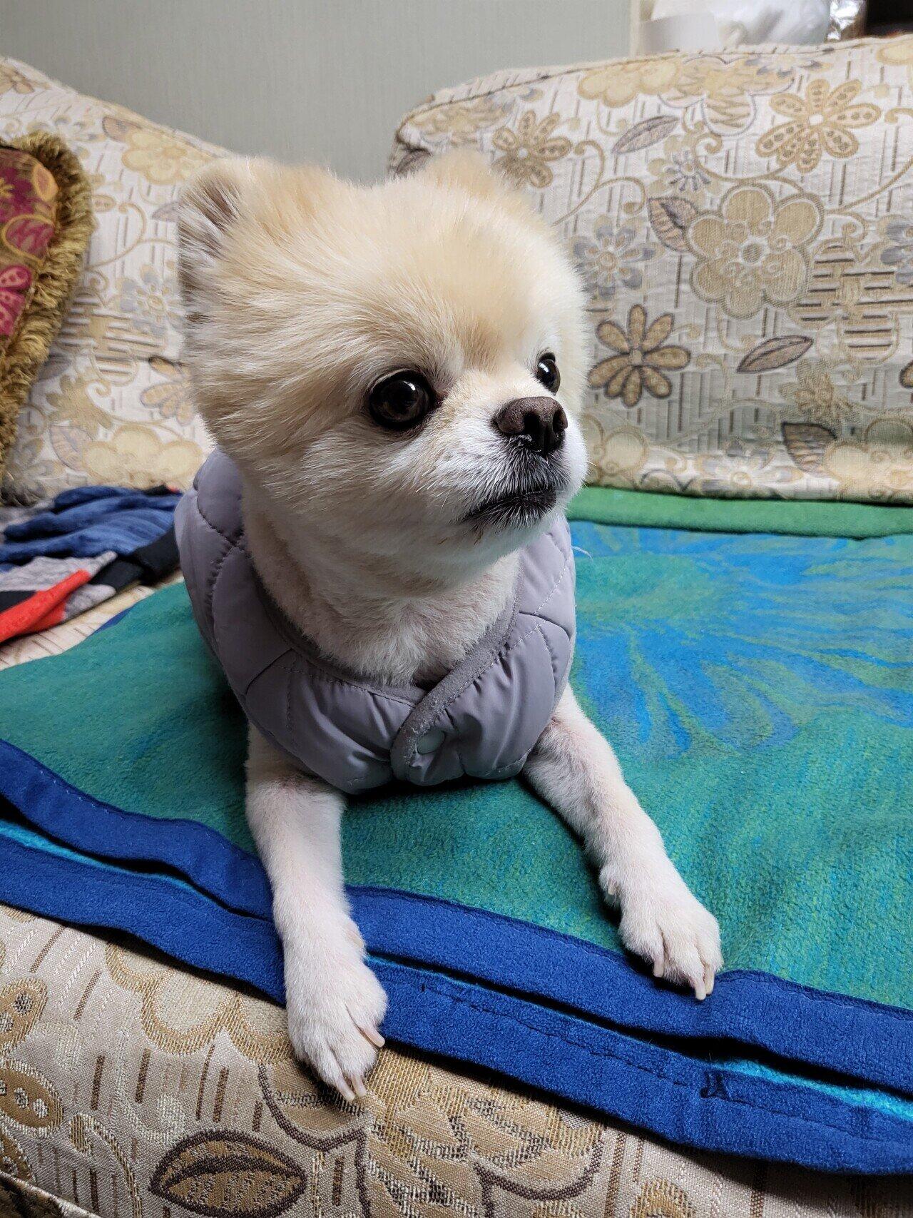 점심맛있게 먹었지? 그럼 이거나 봐