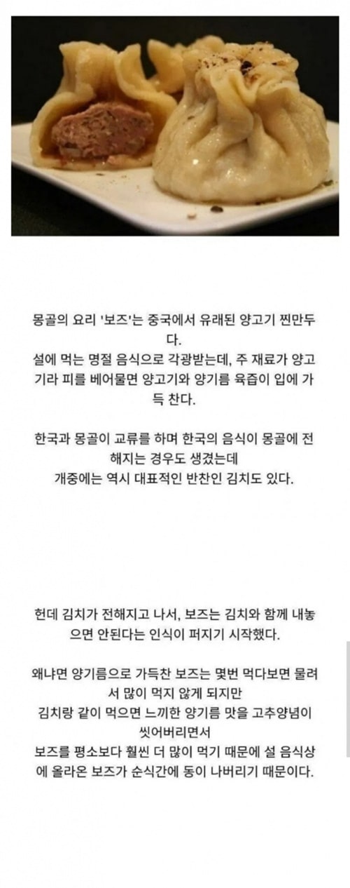 김치와 조합이 좋아서 자제한다는 몽골 음식