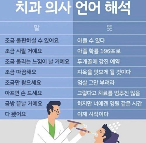 치과번역기