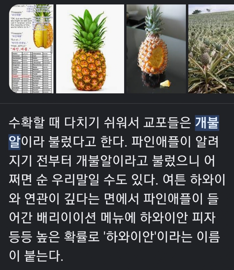 이거 알고 계셨음? 파인애플 순우리말 명칭