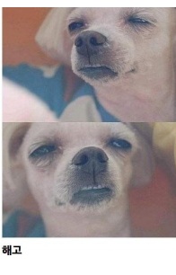 개표정으로본 회사
