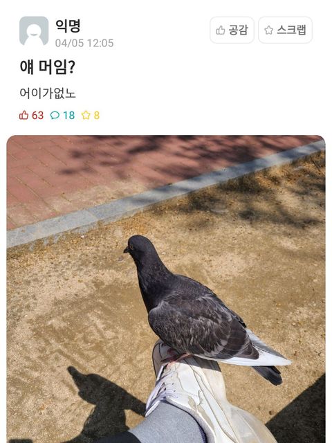 재미로 보는 경북대 에타 모음