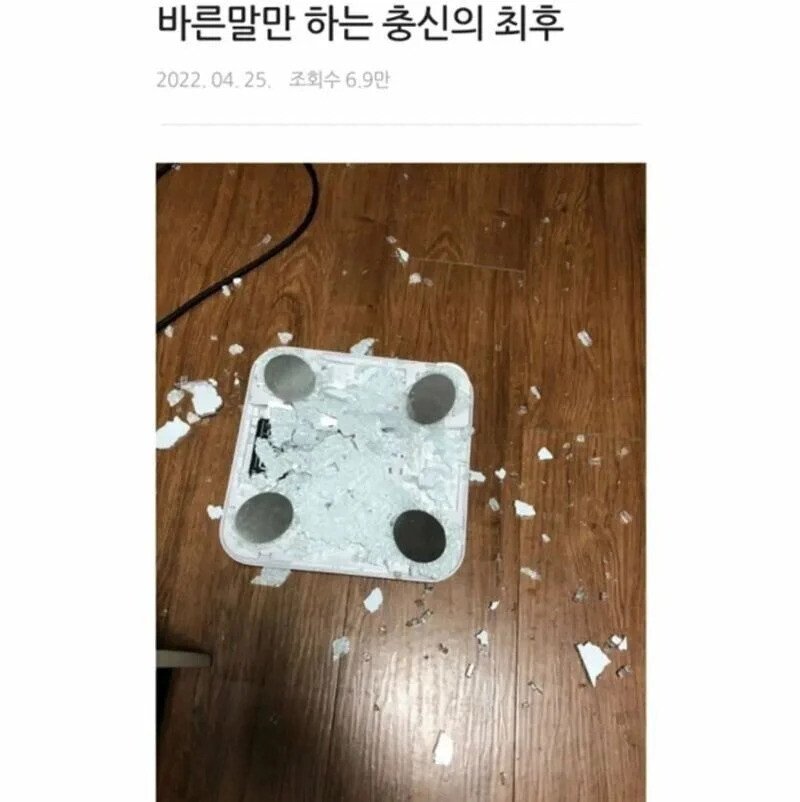 요령 1도 없이 오로지 바른말만 하는 충신들이 겪는 최후