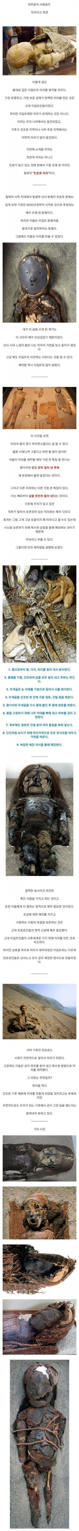 인류 역사상 가장 오래된 미라