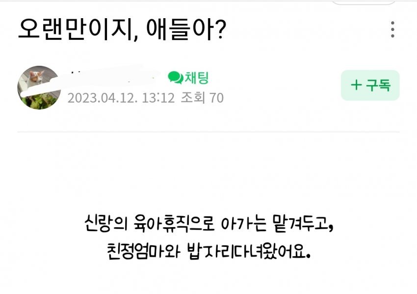 50일된 아기 놔두고 고양이 밥주러 다니는 캣맘