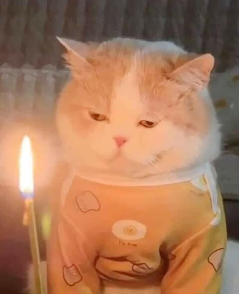 급하게 차린 생일상