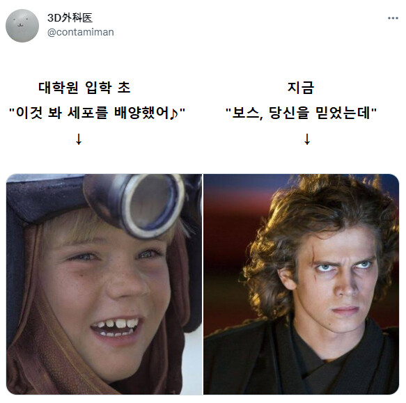 일본 어느 대학원생의 자조적 유머