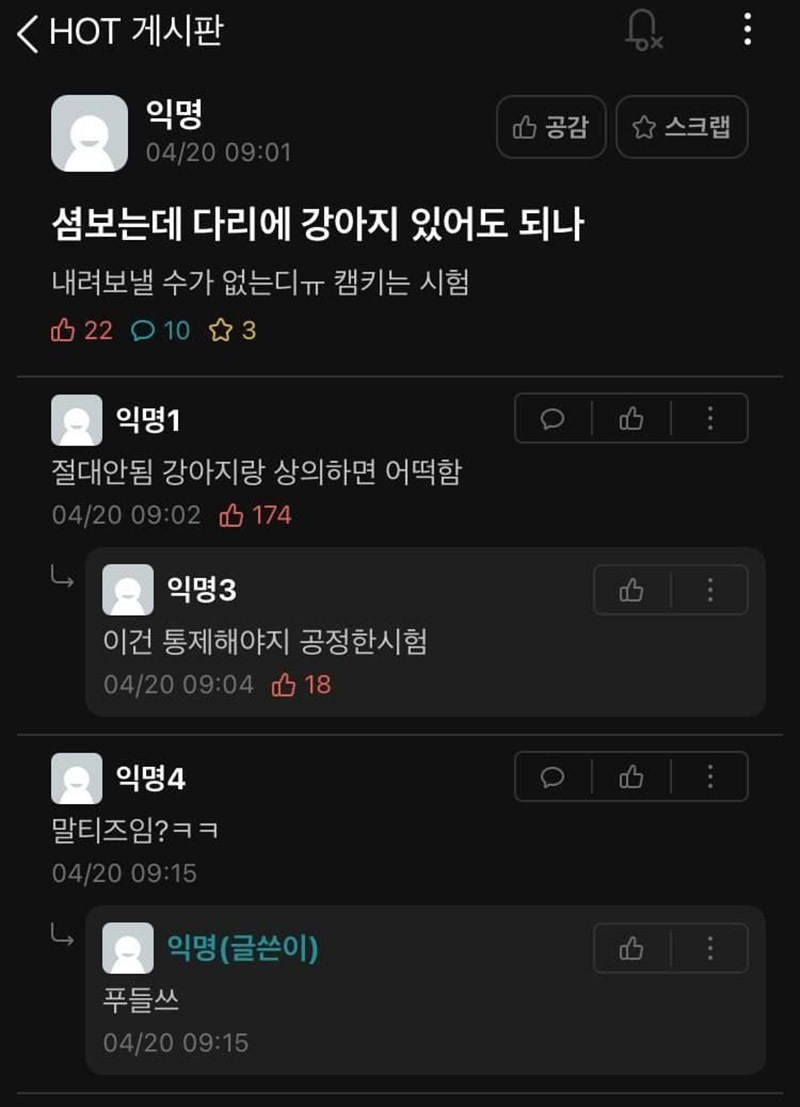 시험보는데 다리에 강아지 있어도 되나