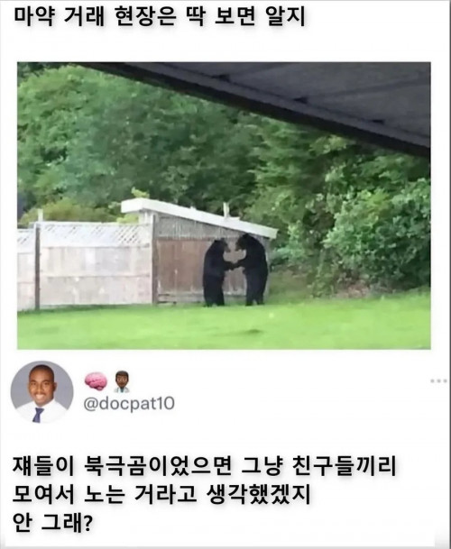 마약거래 현장은 딱보면 알지